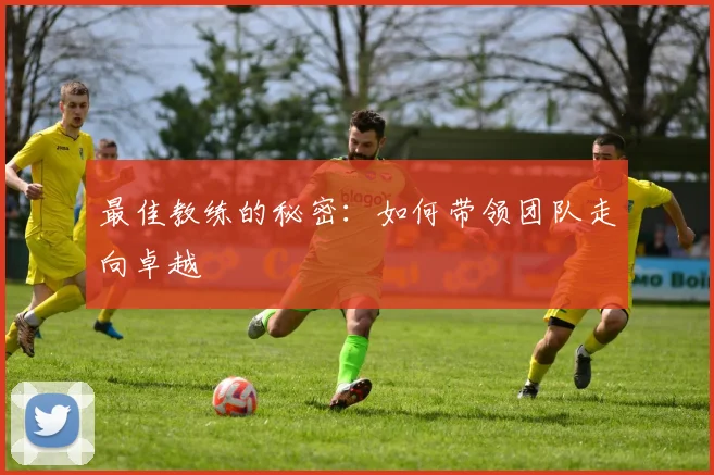 最佳教练的秘密:如何带领团队走向卓越