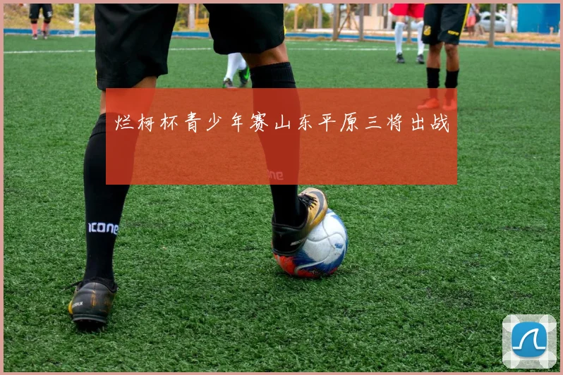 烂柯杯青少年赛山东平原三将出战