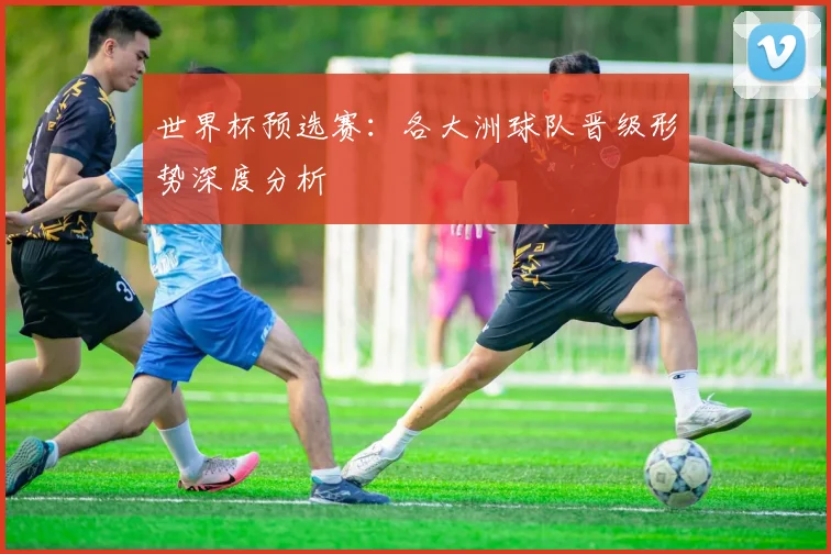 世界杯预选赛：各大洲球队晋级形势深度分析
